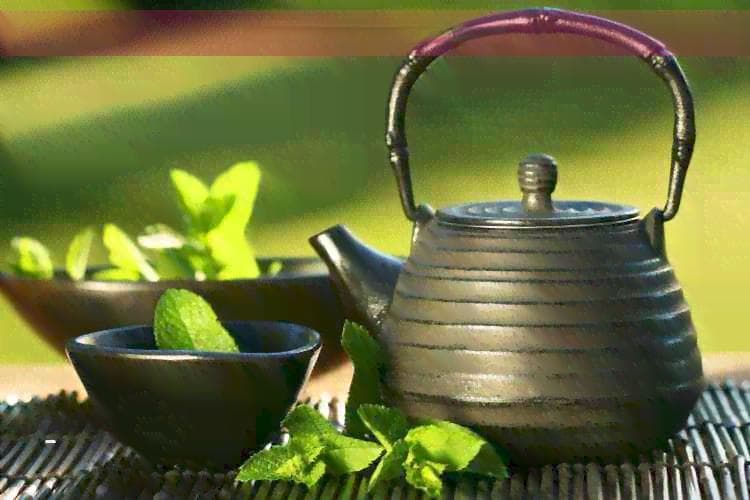 明前茶品种及口感：哪些茶更好喝？