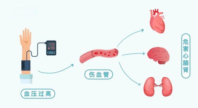 血压、血糖、血脂、尿酸标准对照表，忌口清单全都有——