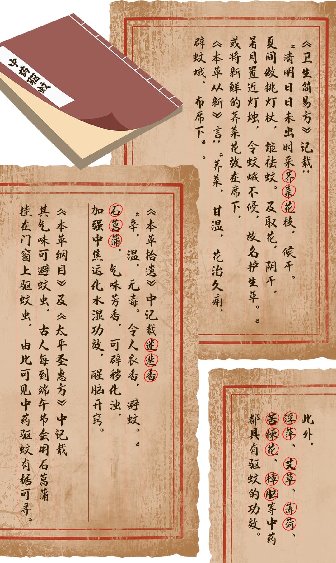 中药防蚊，您试过吗？