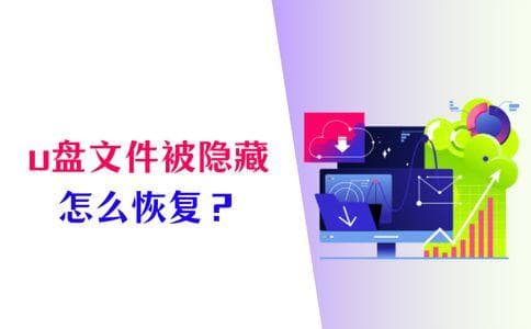 U盘文件被隐藏怎么恢复？记好这4个方法，快速恢复数据