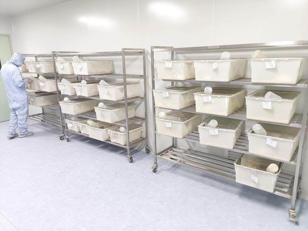 实验小鼠饲养环境建设及鼠房操作管理