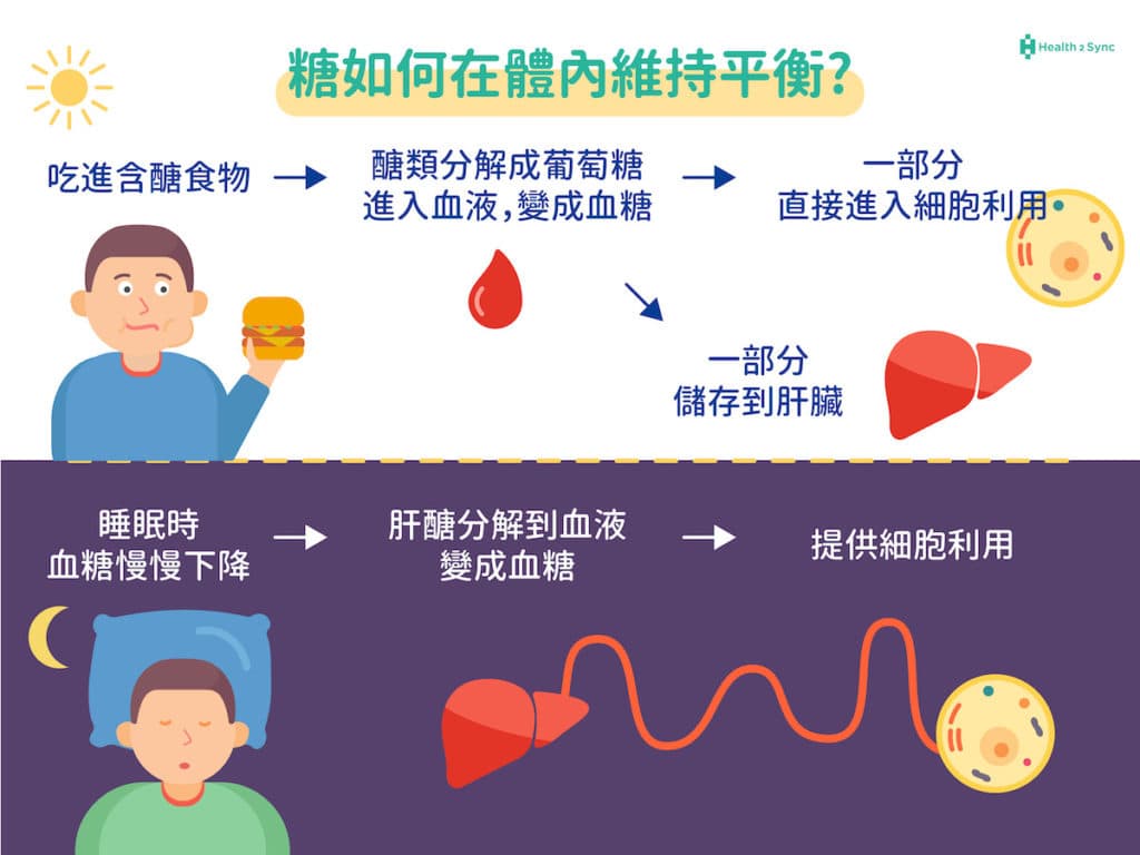 为什么早上空腹血糖会偏高？浅论黎明现象与梭莫基效应