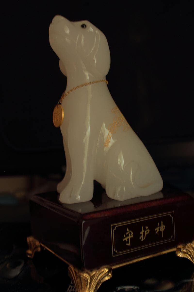 边牧颜色的遗传学规律全解析