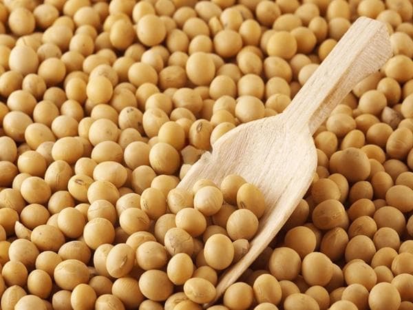 卵磷脂含量高的食物排行榜揭晓，牛奶当之无愧top1