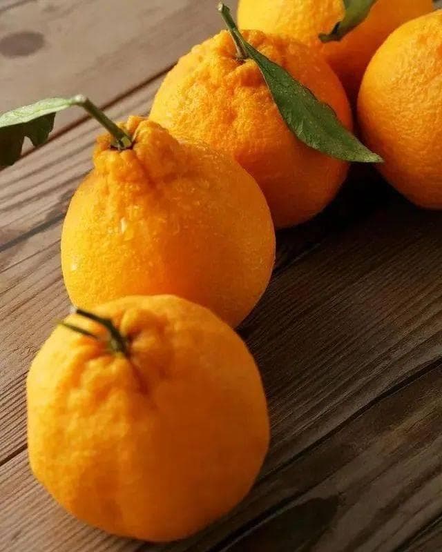 耙耙柑上火还是去火？