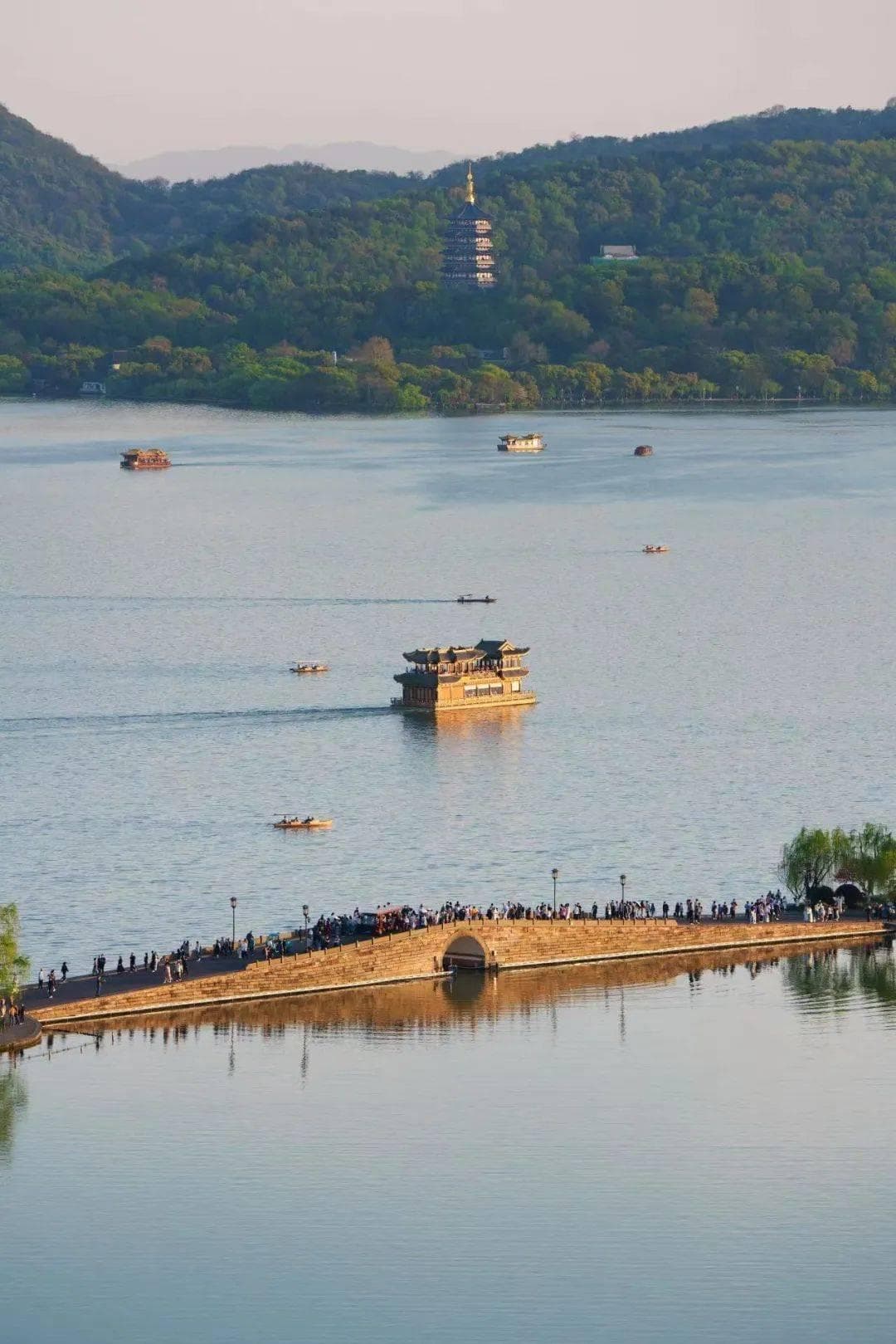 西湖“乘船宝典”来啦~