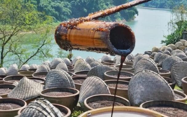 酱油进化史！从古早味到现代科技，一探鲜香背后的创新驱动