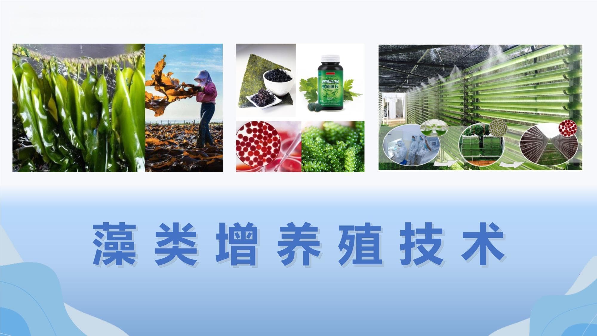 微藻培养液的配置原则