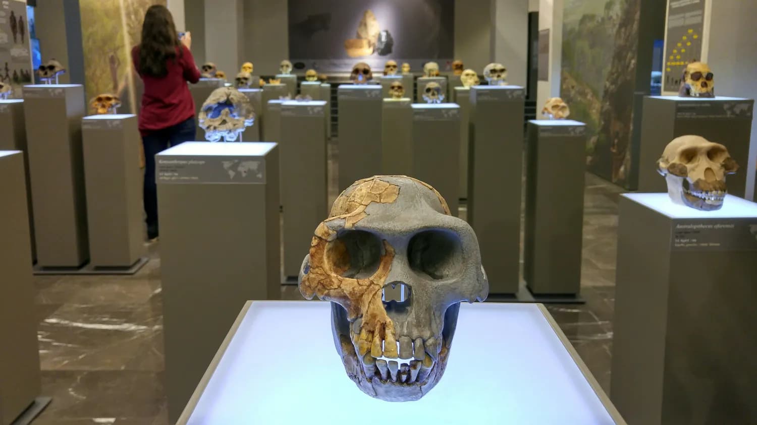 探寻70万年前的秘密：北京人遗址的最新发现与未解之谜