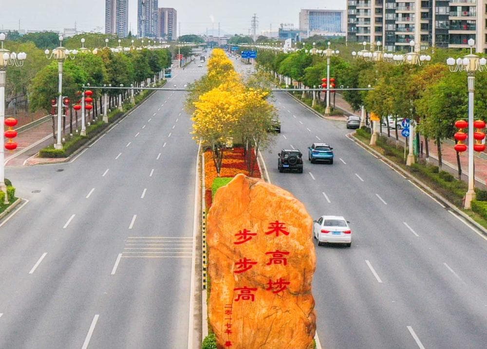 东莞高埗：精细管理显成效，圩镇风貌展新颜