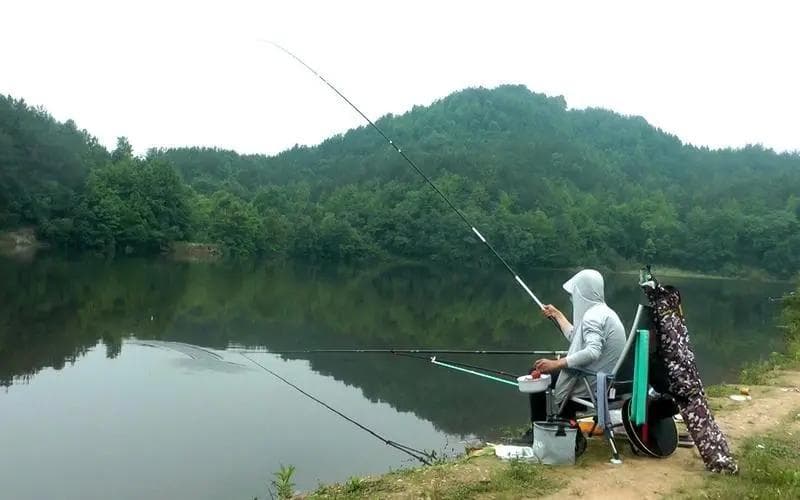 野钓调漂的黄金法则：掌握这些技巧，让你的钓获量瞬间飙升！
