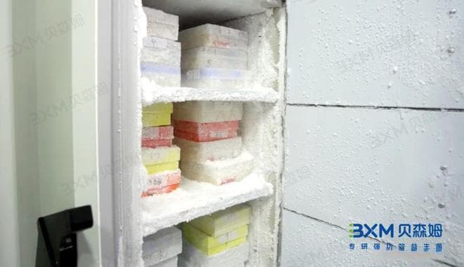 益生菌科学的核心：菌种与菌株