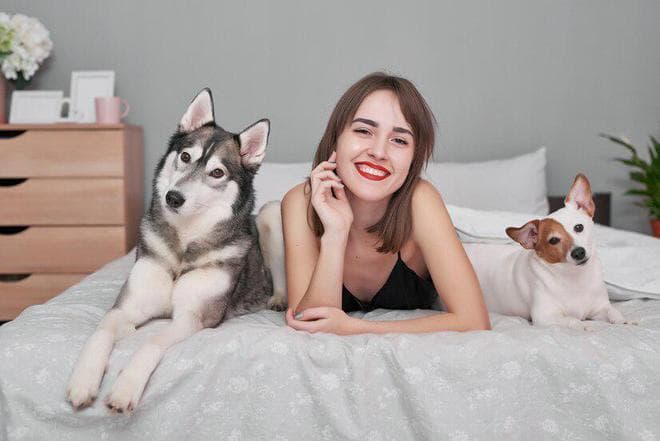 5个月金毛犬如何从幼犬粮过渡到成犬粮