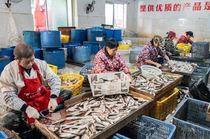 邮储银行“产业贷”精准滴灌，资兴东江鱼产业年产值近30亿