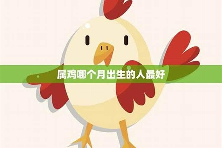 探究1993年出生者的命运奥秘