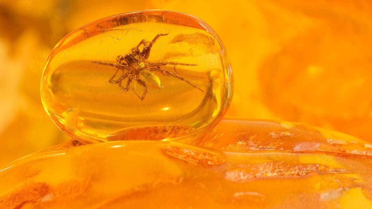 琥珀粉的功效与现代应用：从传统到现代的医药价值