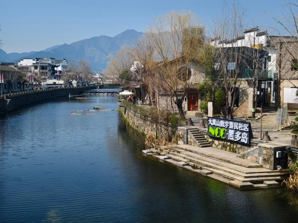 中国引导数字游民更好参与乡村振兴