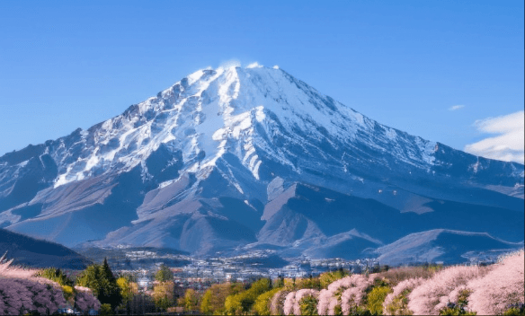 日本大学认可度排名！七大梯队各有亮点！