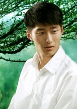 《山楂树之恋》：一段见证纯真爱情的文艺佳作