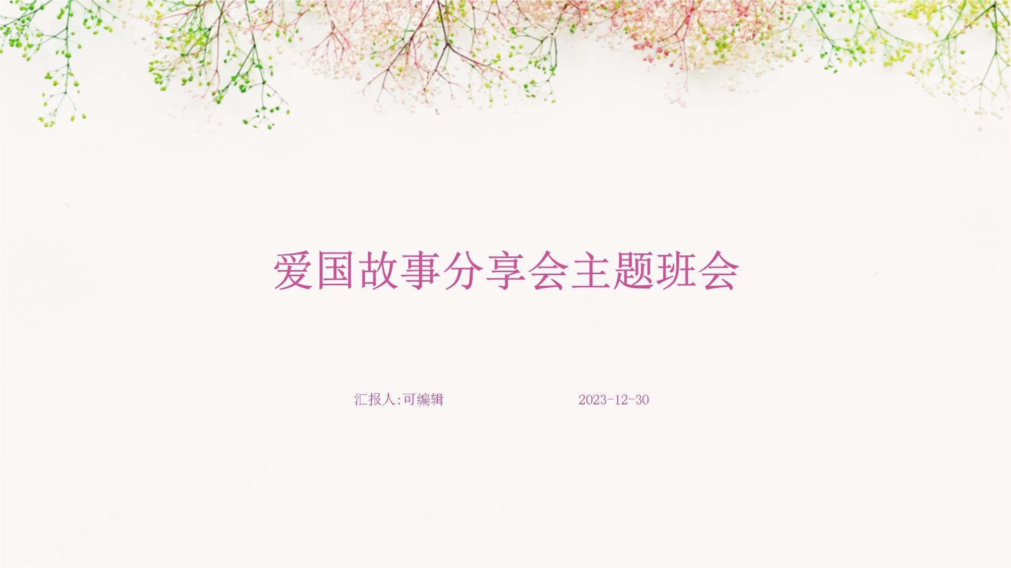 爱国故事分享会主题班会