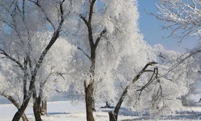 黑龙江省嘉荫县：小众冰雪地“带火”旅游大经济