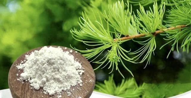 解密“槲皮素”，是真有效，还是智商税？