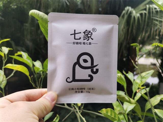 七象咖啡的历史和文化背景：从云南咖啡的百年传承到现代品牌的崛起