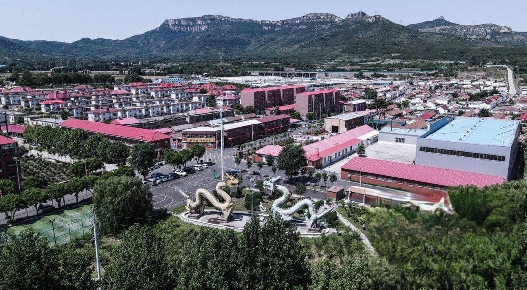 金庄村：盘活闲置厂房，吸引大批企业落地