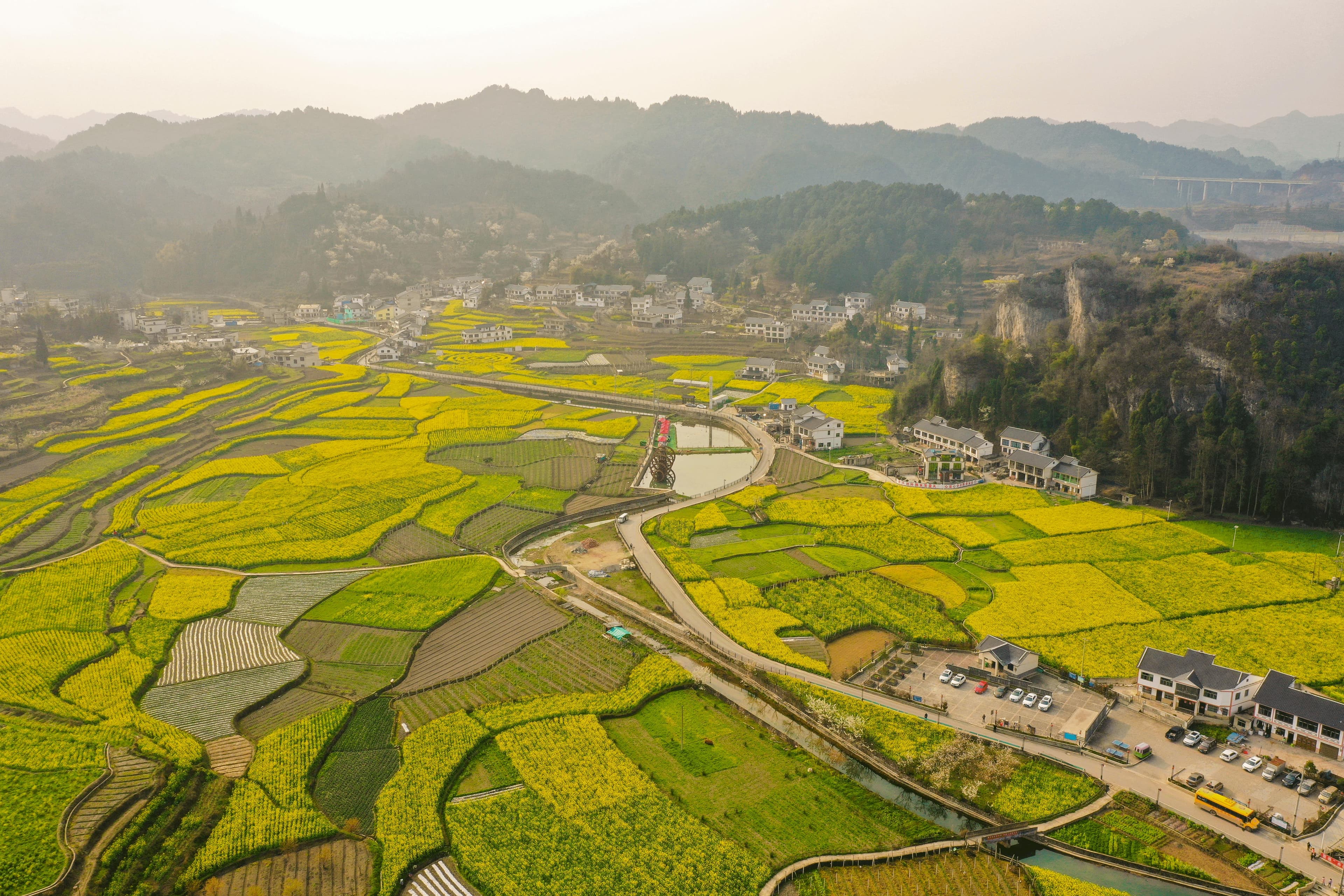 观山湖区赏花攻略：这些地方花开正盛，不容错过！