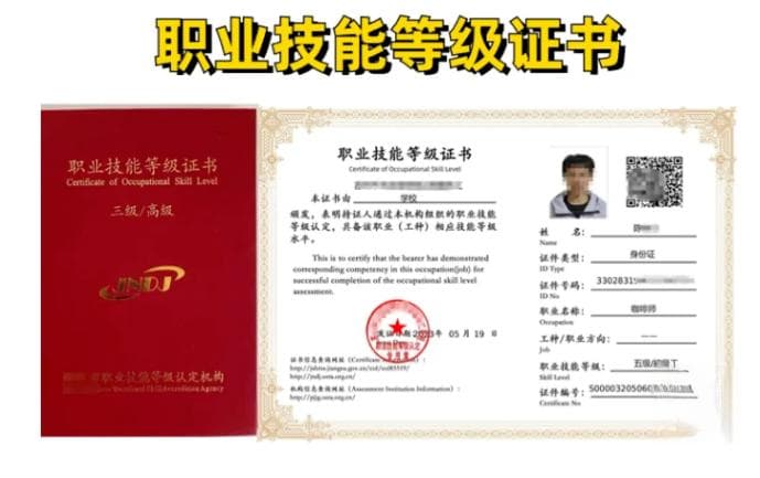 国家职业资格证与技能等级证：颁发机构、效力与报考全解析