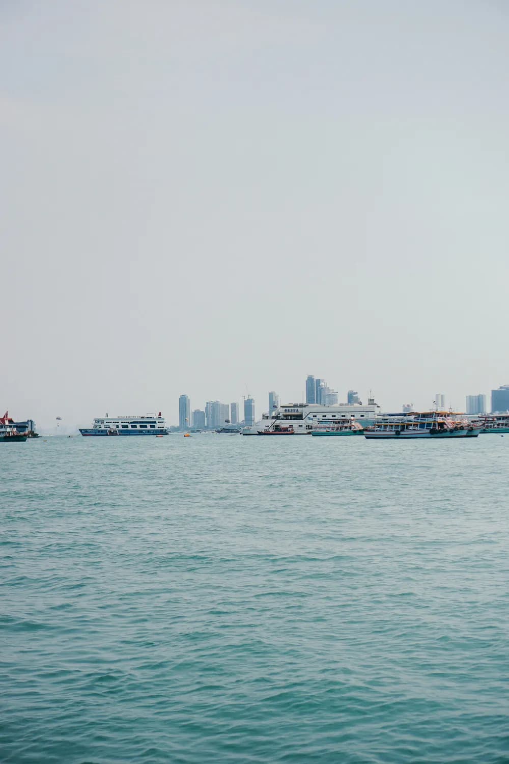 冬日湛江：乘游船观红嘴鸥，赏海湾大桥夜景