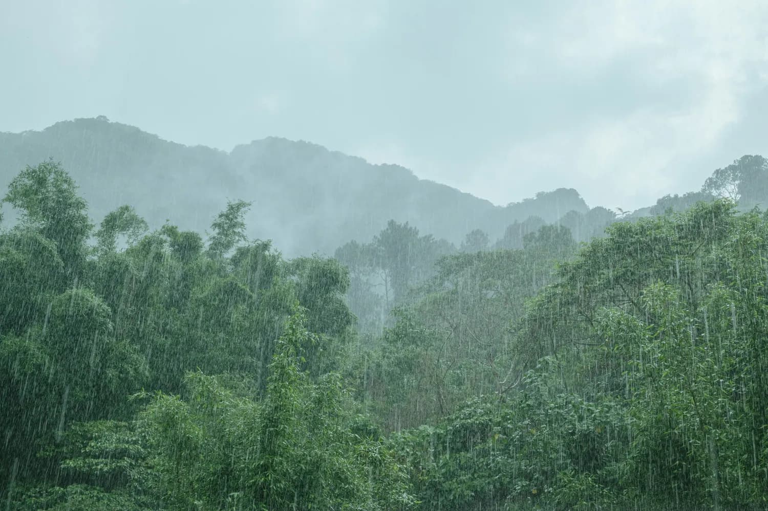 仙女山近期小雨不断，出行攻略大揭秘！