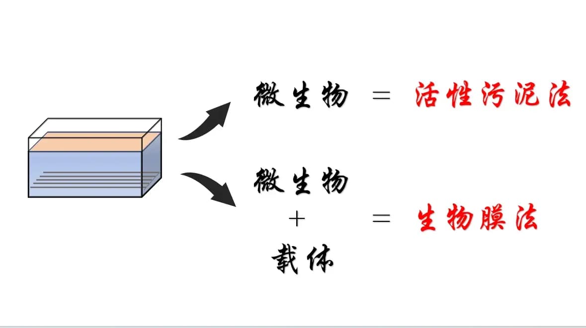 生物膜法污水处理技术详解：载体为家，安居乐业