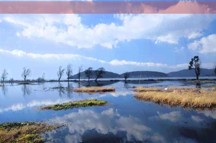 深圳龙岗区便捷出行攻略：畅游海边美景之旅