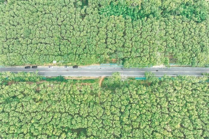 环岛旅游公路开通，海南黎族村迎来旅游新机遇