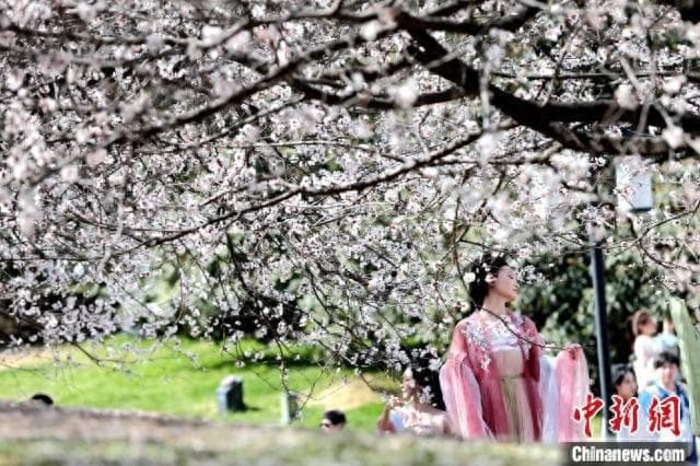 交领右衽邂逅长安古建：一场“穿在身上的文化行走”