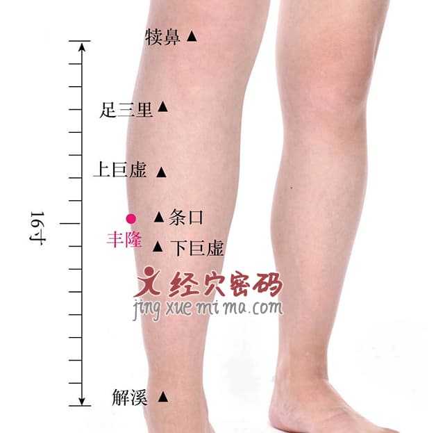 丰隆穴：位置、功效与治疗方法详解