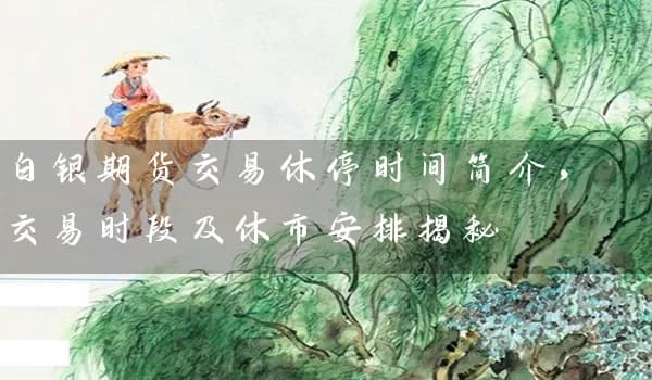 白银期货交易休停时间简介，交易时段及休市安排揭秘