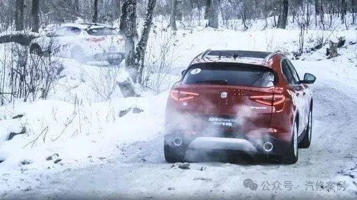 比亚迪原地热车怠速熄火：问题分析与解决方案