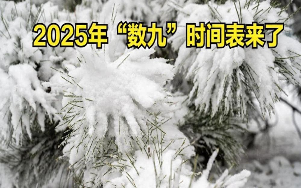 2025数九：三九四九最寒冷，春节天气待解
