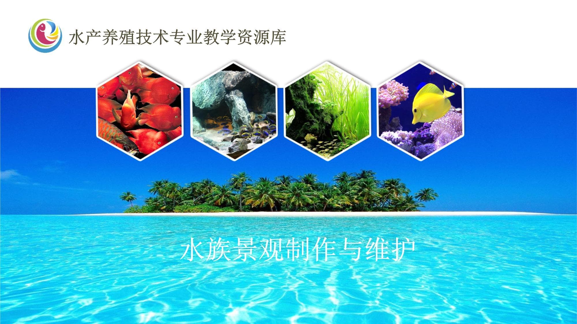 控制水草缸藻类的措施课件讲解