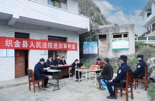 买卖野生兰花？真够“刑”！