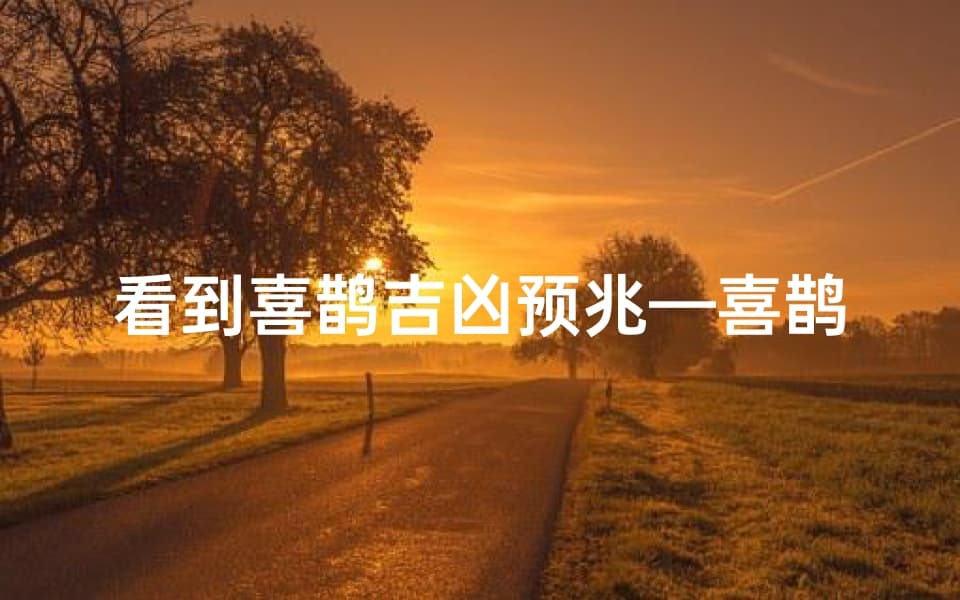 看到喜鹊吉凶预兆—喜鹊飞临：揭秘吉凶预兆之谜