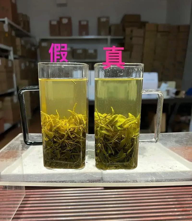 山东绿茶：泰山茶、日照绿茶和崂山茶的区别