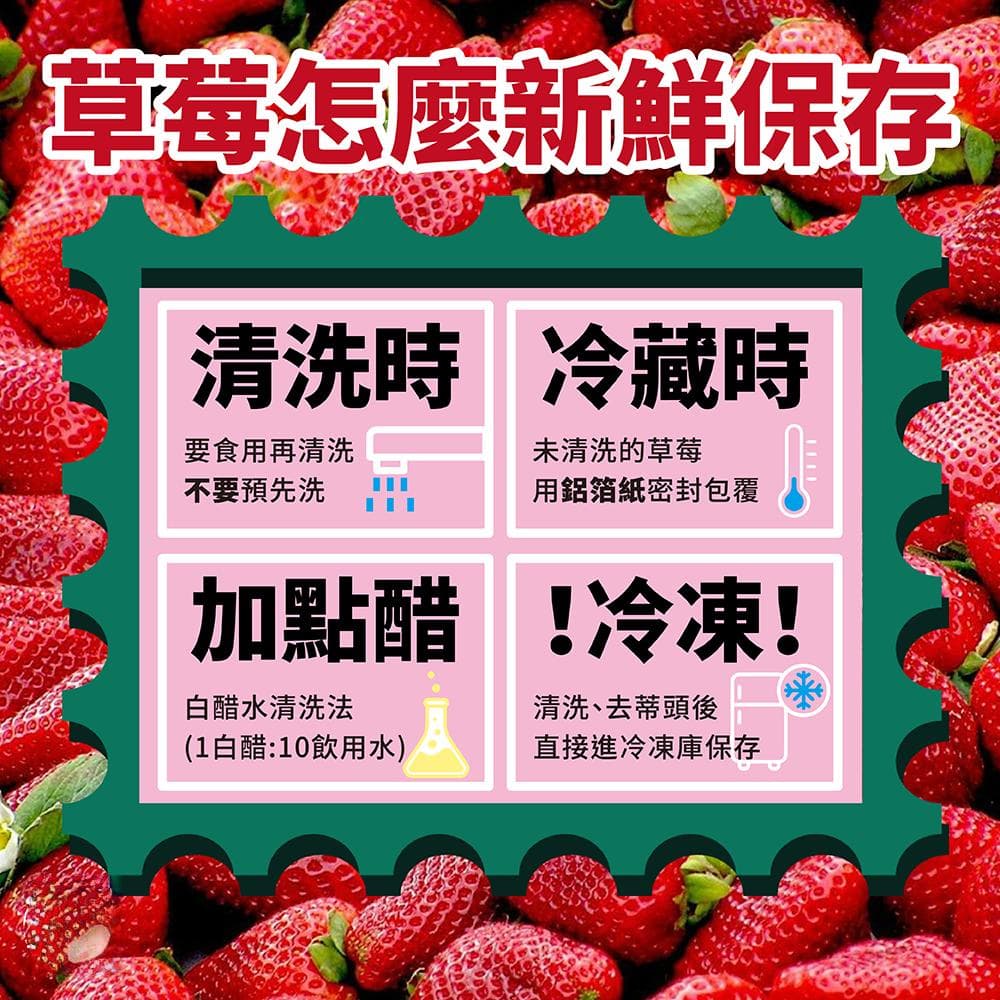 娇贵的草莓，该如何保存？！这样做可以再延长10-12天的保存期限！