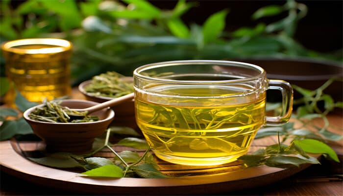 日照绿茶的功效与作用及正确冲泡方法