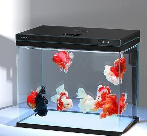 水质、生物、设备、装饰：水族箱保养全方位指南