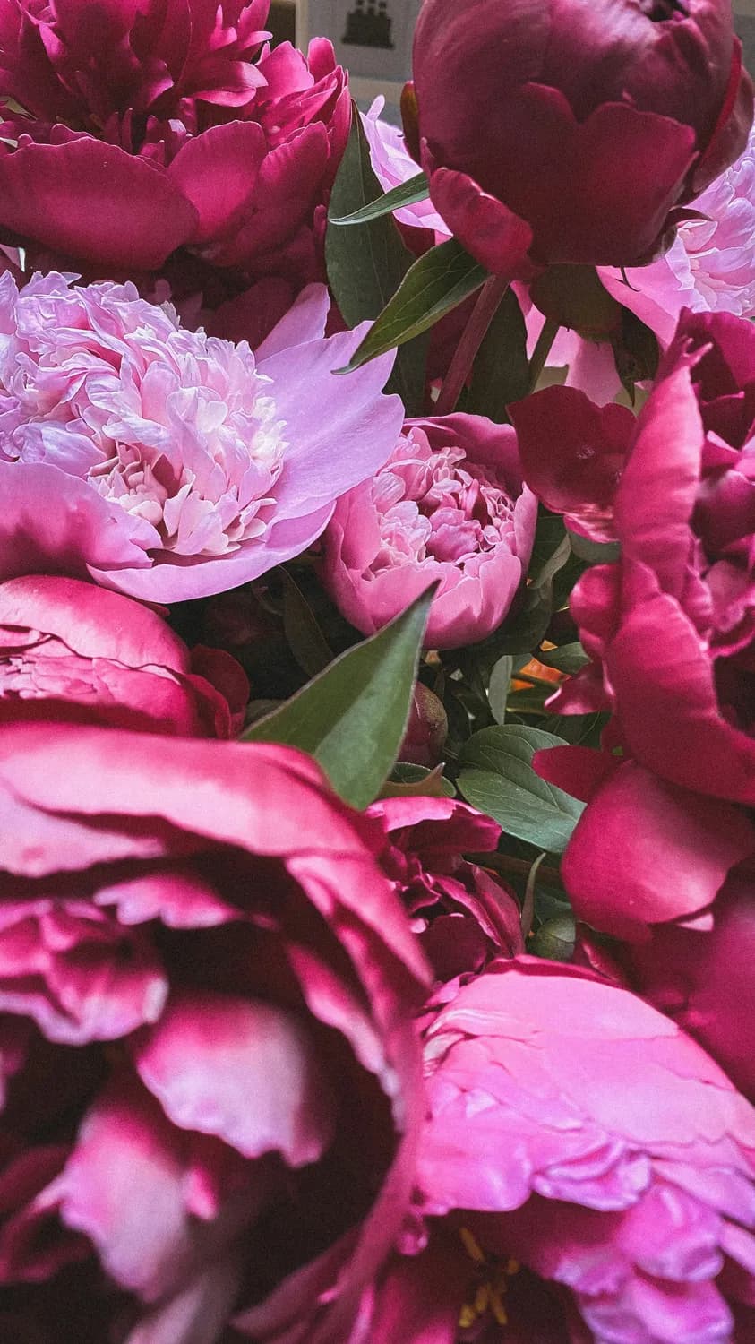 《流芳》：一首歌，一段传奇，一曲盛唐女性赞歌