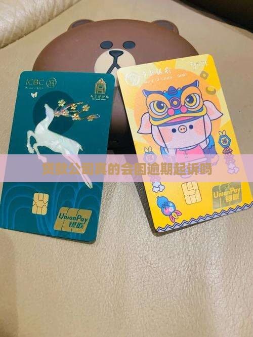 贷款公司会因逾期起诉借款人吗？一文详解逾期后的法律风险与应对策略