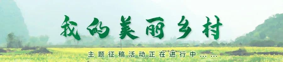 触“电”新体验！这两部普法微电影还原真实案例